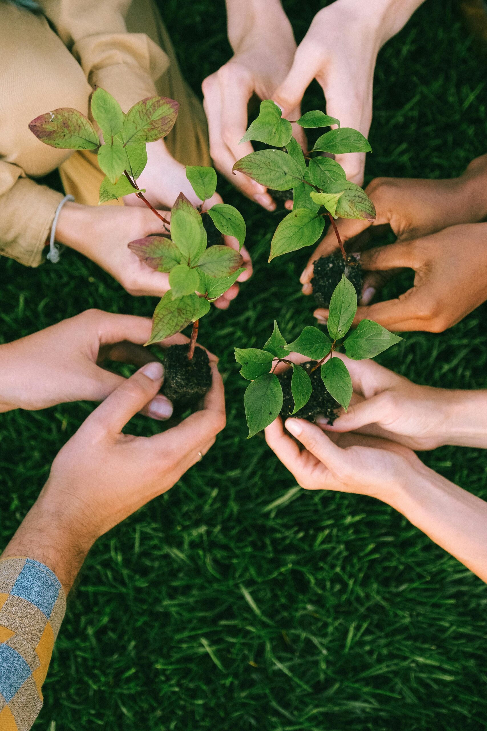 Sustainable Practices to Drive Change in the Food Service Industry